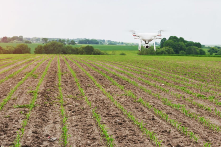 8 Razões para fazer o Curso de Agricultura de Precisão em Diferentes Culturas do SENAR