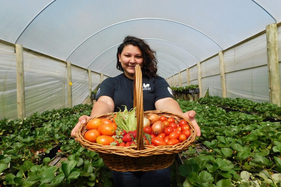 Curso grátis de Boas Práticas na Produção Vegetal do SENAR