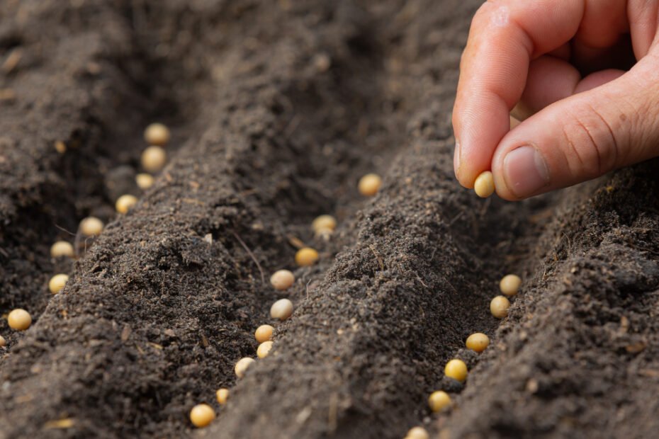 5-Motivos-para-fazer-o-Curso-de-Agricultura-de-Precisão-na-Semeadura-do-SENAR