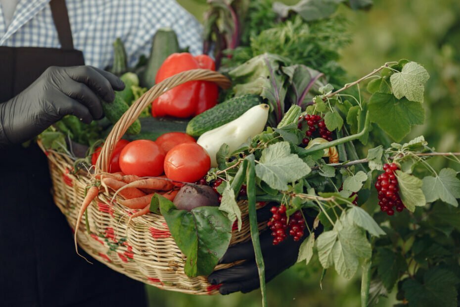5 Motivos para fazer o Curso de Cultivo e Produção de Hortas do SENAR